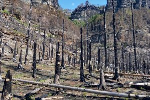 Starostové ze Šluknovska si prošli spáleniště v národním parku