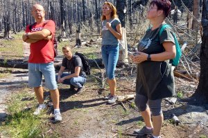 Starostové ze Šluknovska si prošli spáleniště v národním parku
