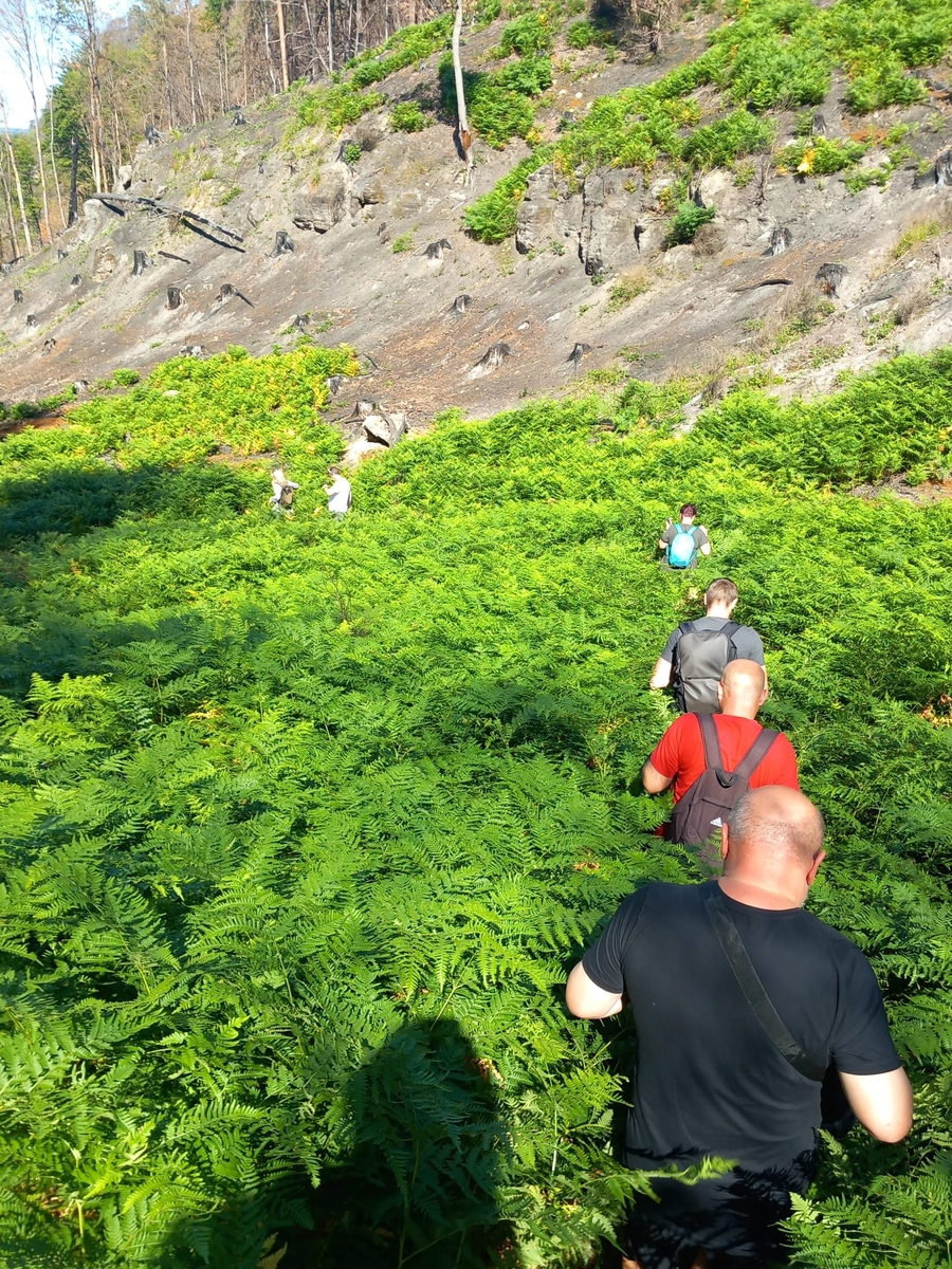 Starostové ze Šluknovska si prošli spáleniště v národním parku